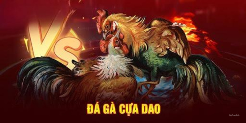 Đá Gà Cựa Dao - Theo Dõi Bộ Môn Đá Gà Hấp Dẫn Nhất Năm