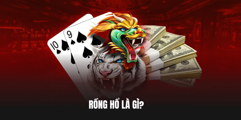 Rồng Hổ là gì?